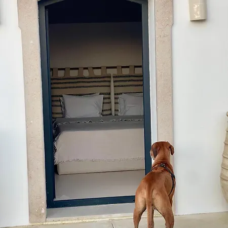 Villa Casa Oliva Do Sul Almancil